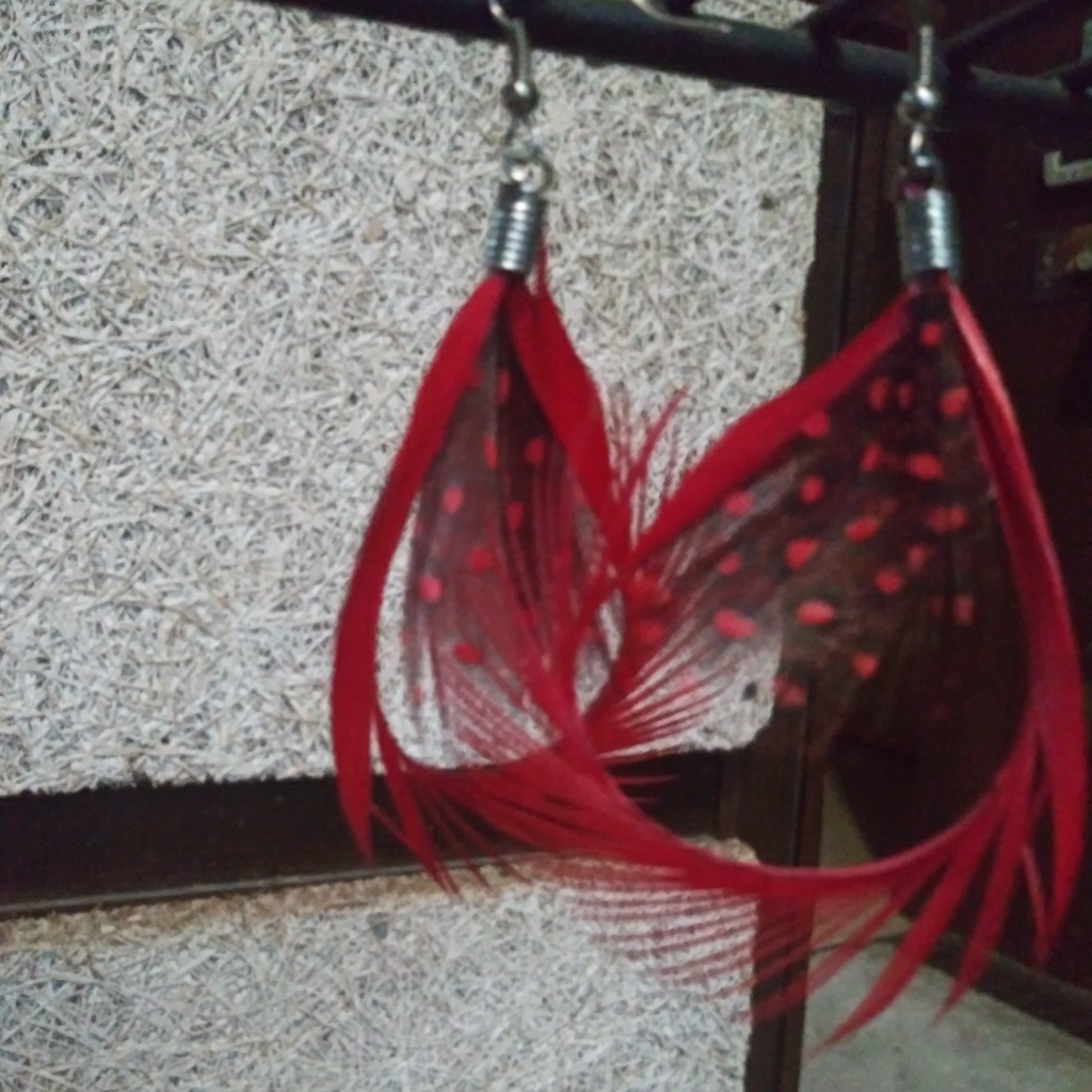 Nwot Earrings Feather 10$